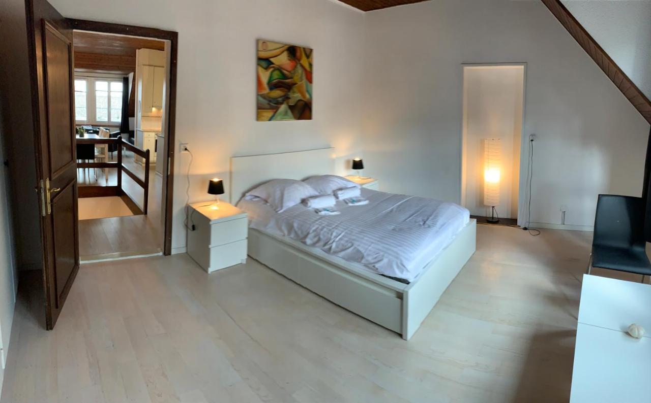 Luxury Duplex Vue Chateau Neuenburg Exterior foto